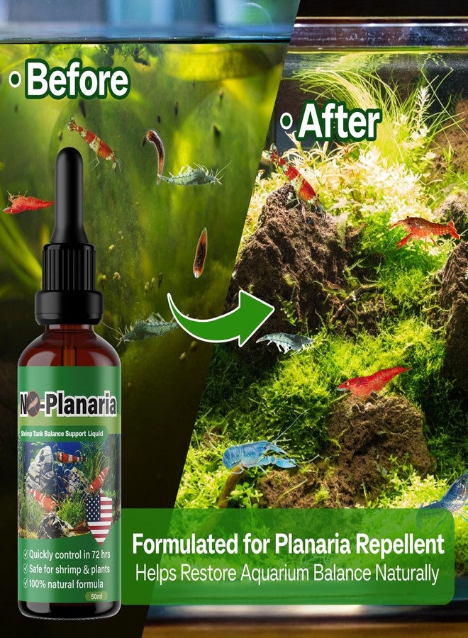 SHUNNIUB No Planaria & Hydra Trap, Aquarium Balance Liquid, 100% Natural Support for Issues Caused by Flat-Bodied Intruders, Promotes Healthy Growth & Reproduction of Shrimp & Fish, 50ml - Image 3